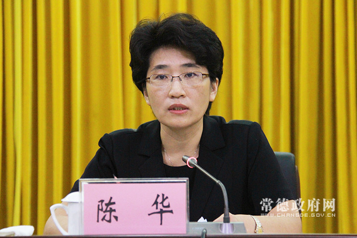 陈华讲话.jpg