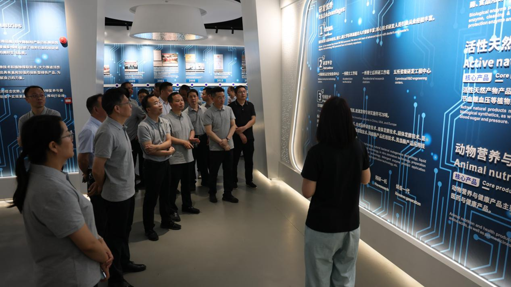 图片7