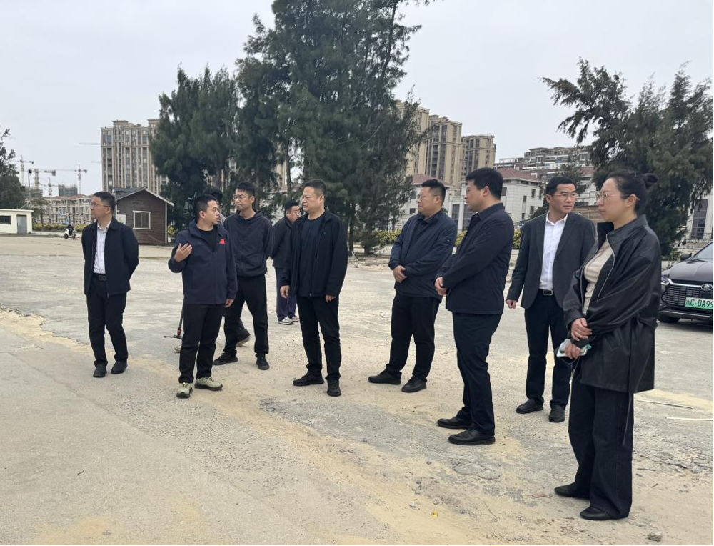 图片7