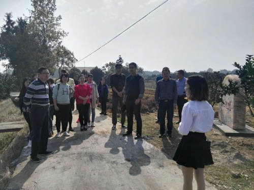 参观毛家滩回维乡马涧村糖橙种植基地.jpg